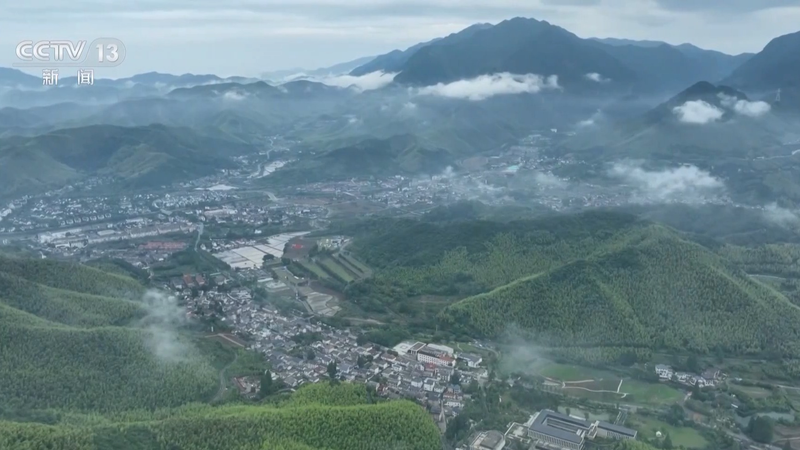 央视新闻周刊官网