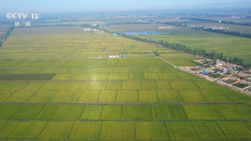 央视新闻周刊官网