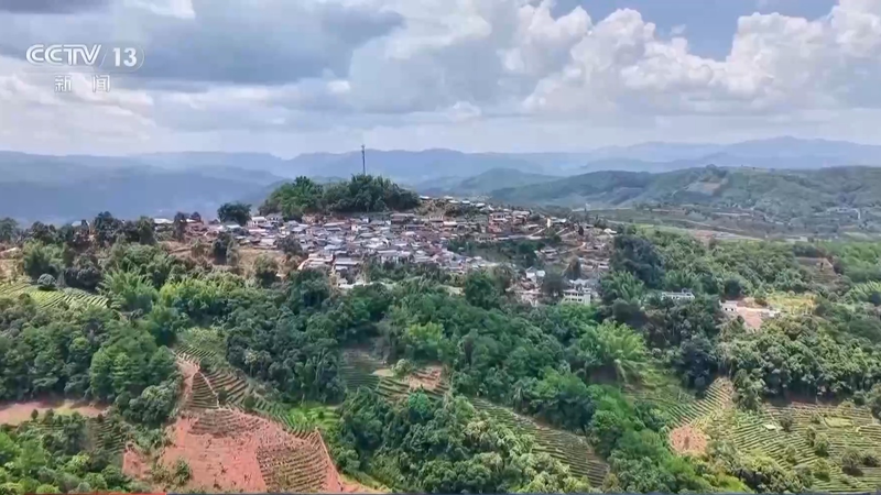 央视新闻周刊官网