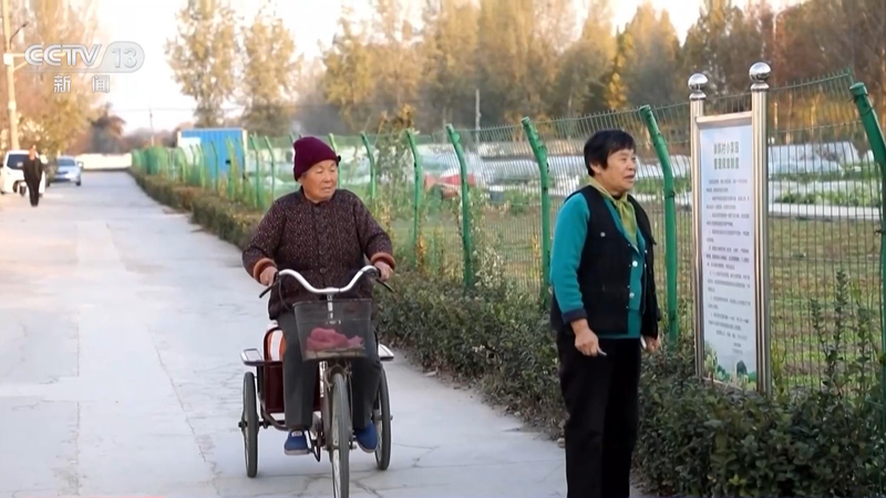 央视新闻周刊官网