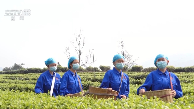 央视新闻周刊官网