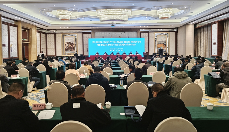 望江新闻联播机采棉现场会