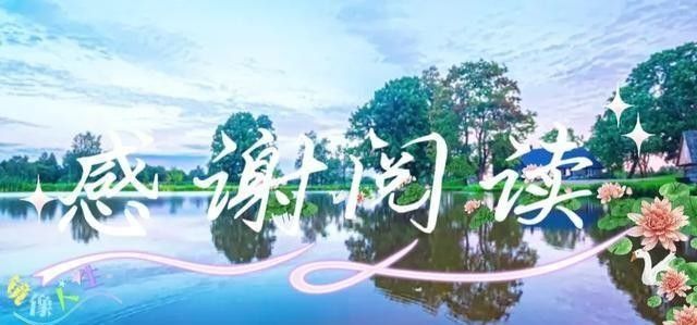 2026年养老金上调消息