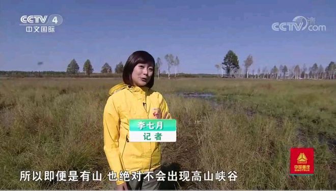 央视午夜新闻女主播