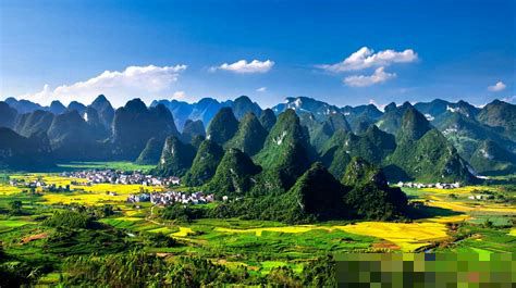 鹿寨最新新闻头条