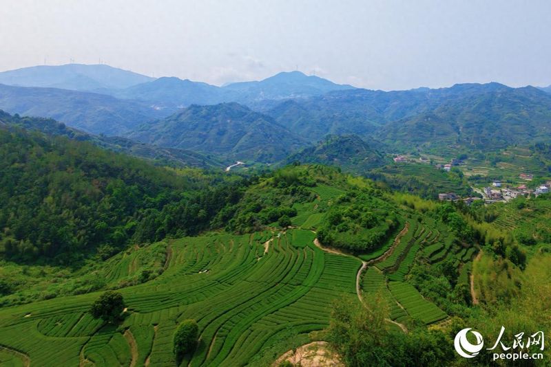 泉州市安溪东溪新闻