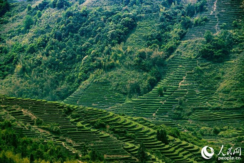 泉州市安溪东溪新闻