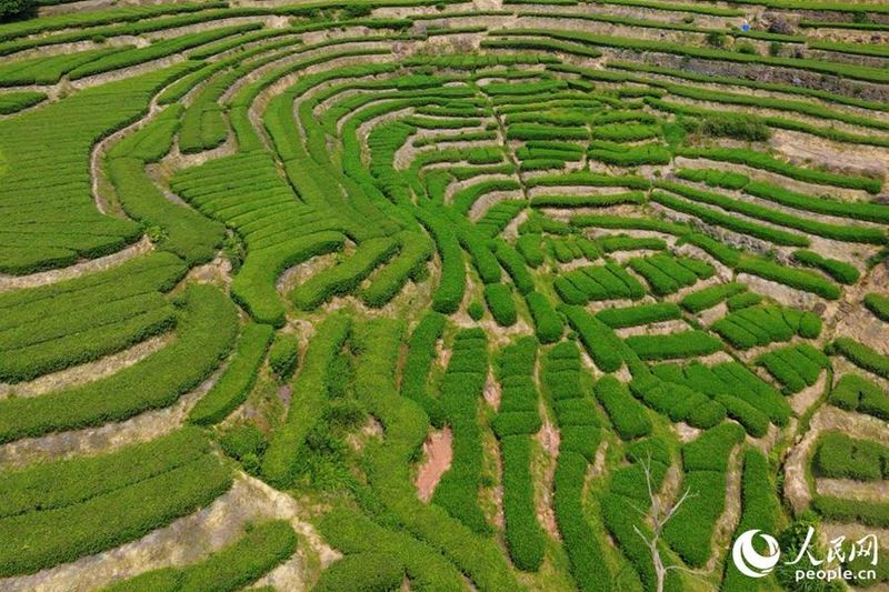 泉州市安溪东溪新闻