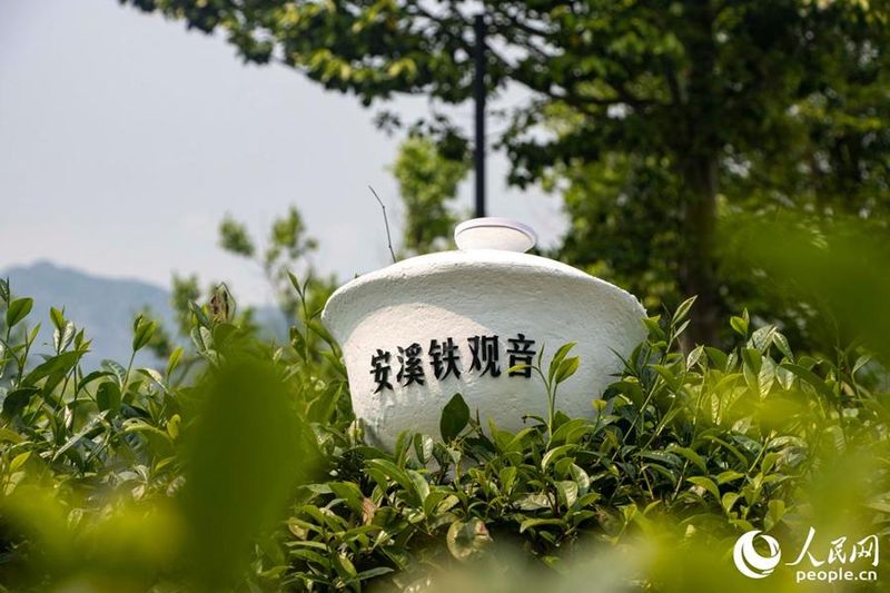 泉州市安溪东溪新闻