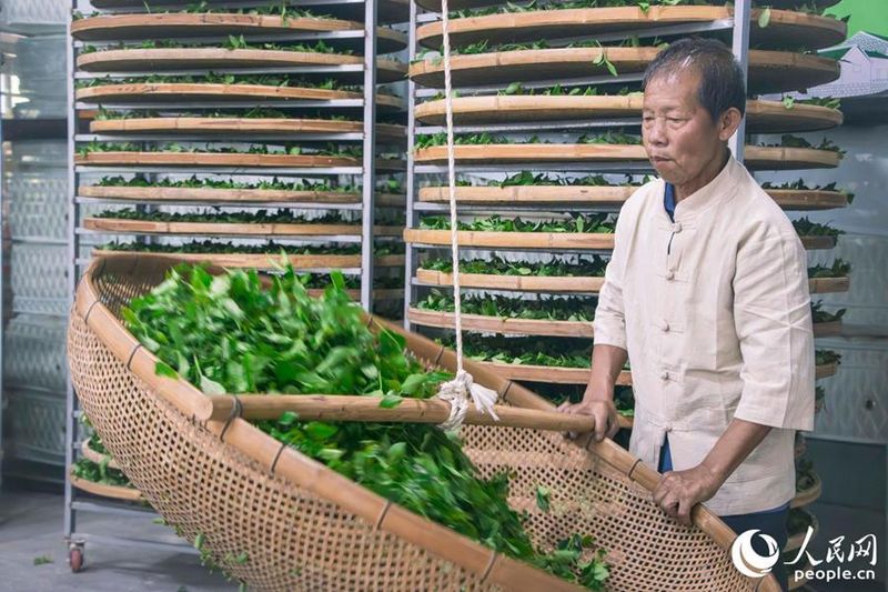 泉州市安溪东溪新闻