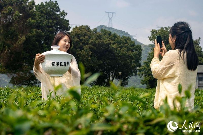 泉州市安溪东溪新闻