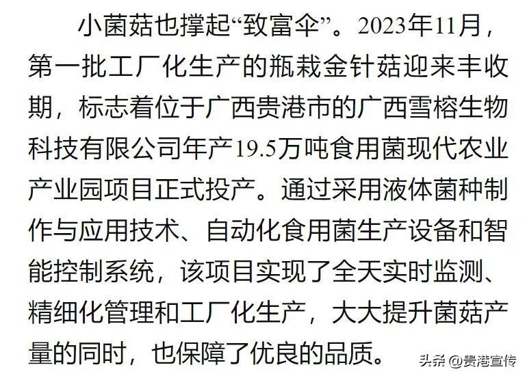 贵港电视台新闻综合