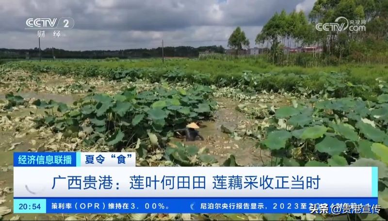 贵港电视台新闻综合