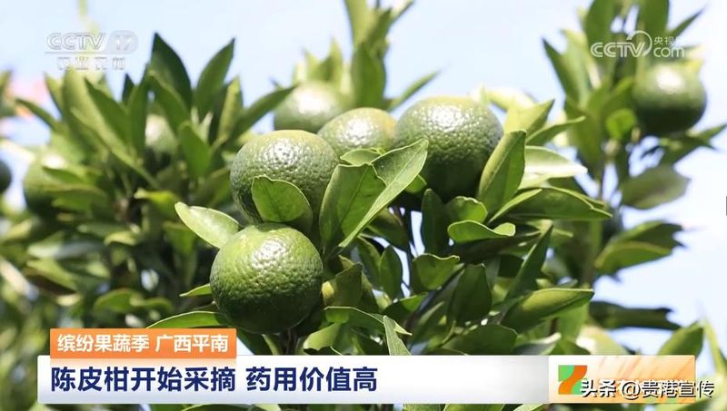 贵港电视台新闻综合