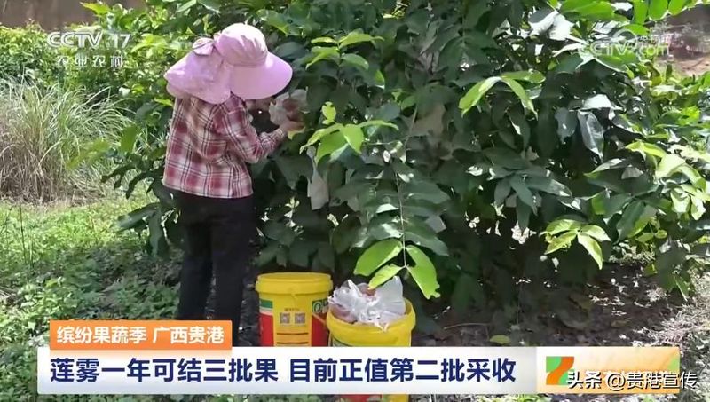 贵港电视台新闻综合