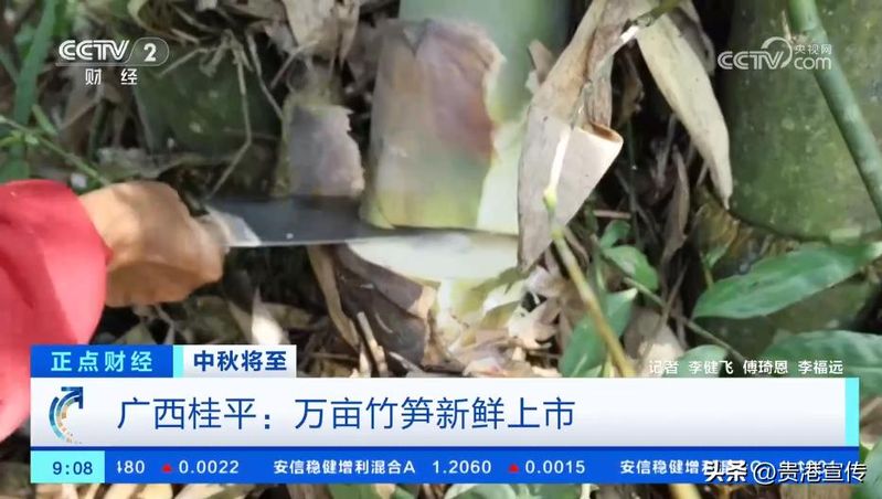 贵港电视台新闻综合