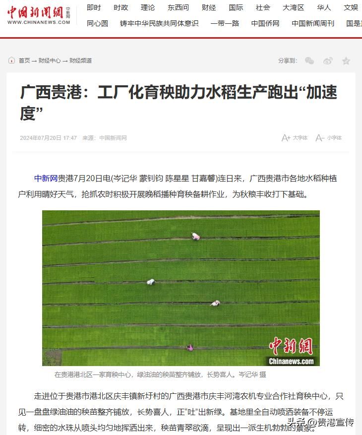 贵港电视台新闻综合