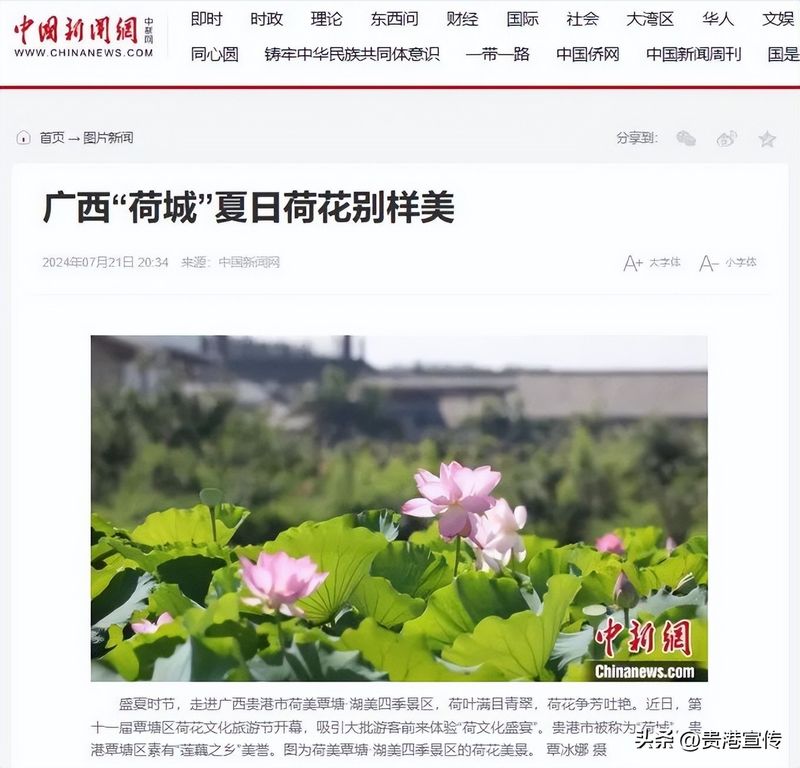 贵港电视台新闻综合