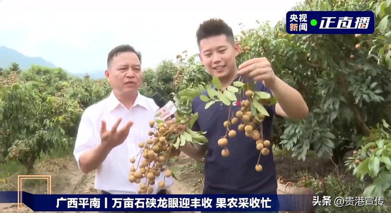 贵港电视台新闻综合