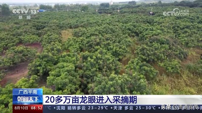 贵港电视台新闻综合