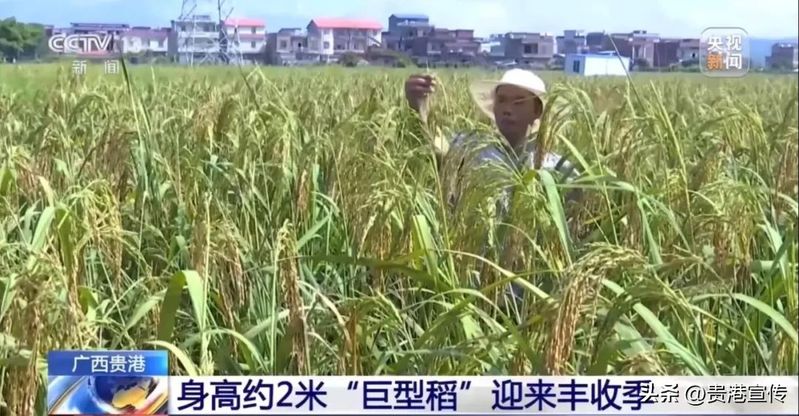 贵港电视台新闻综合