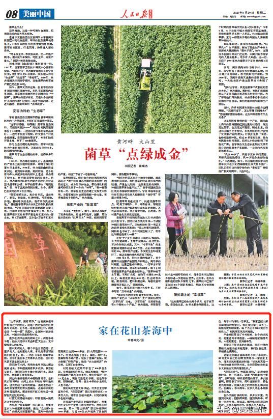 贵港电视台新闻综合