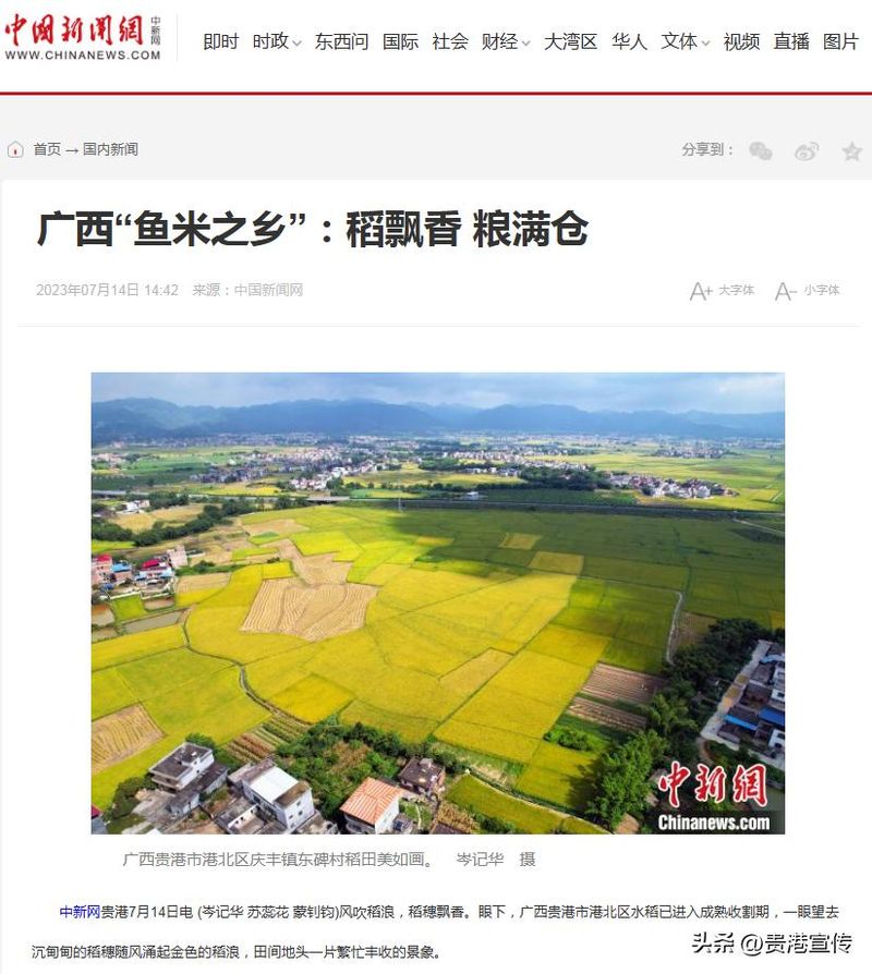 贵港电视台新闻综合