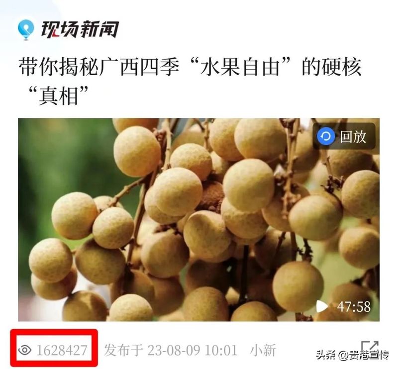 贵港电视台新闻综合