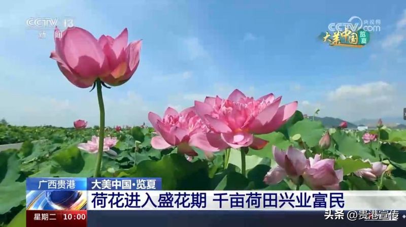 贵港电视台新闻综合