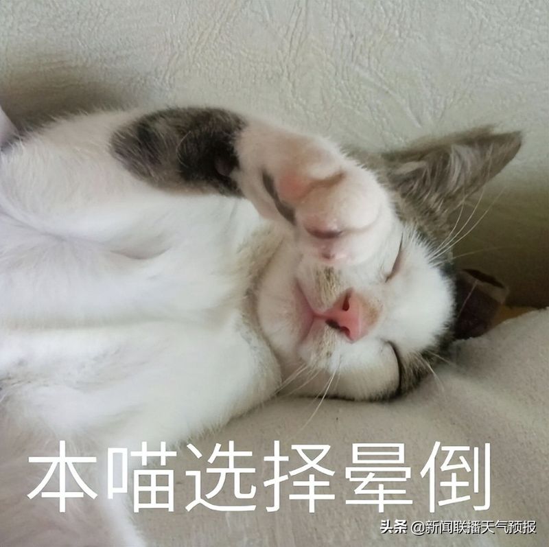 新闻联播天气预报图片