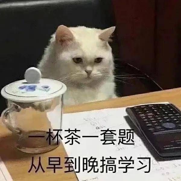 国家新闻出版总署期刊查询页