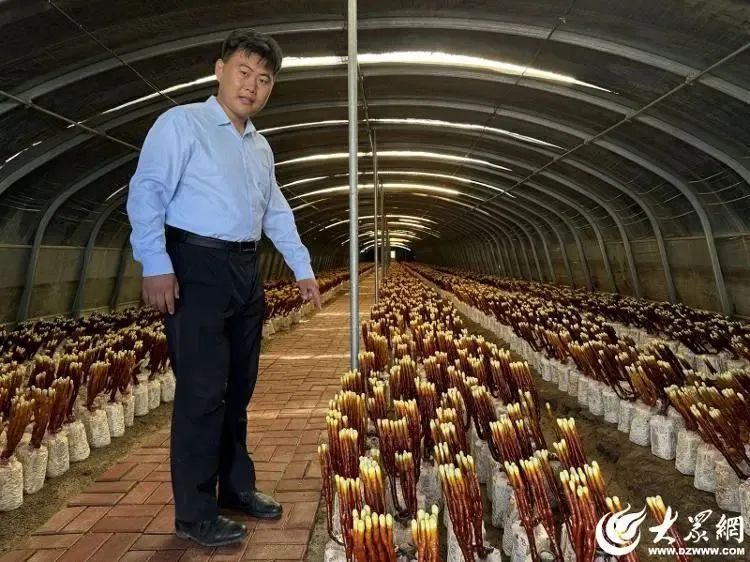 聊城综合频道聊城新闻