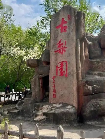 聊城综合频道聊城新闻