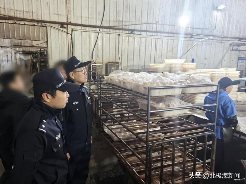双辽新闻联播