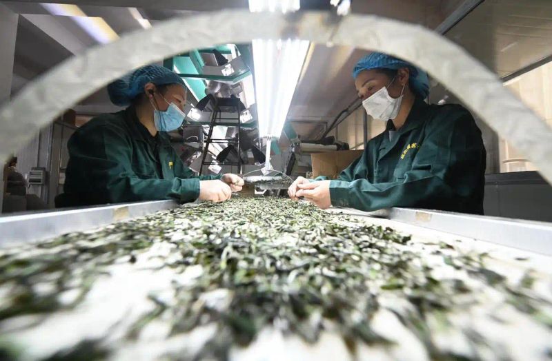 福建南平政和新闻