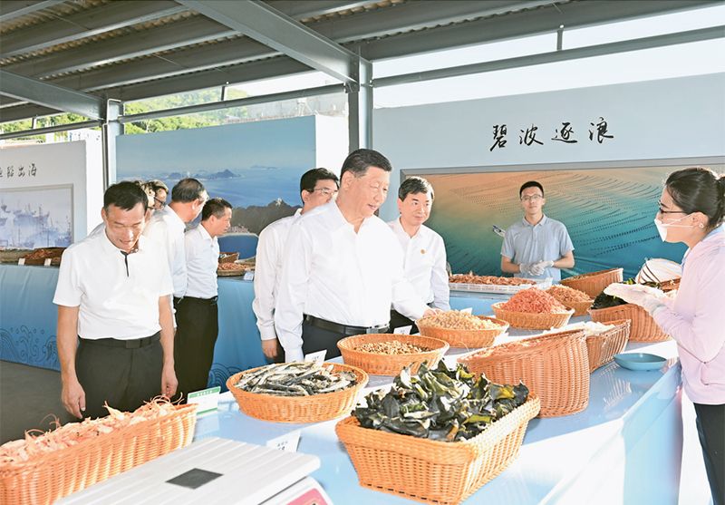 就业局大型招聘会新闻