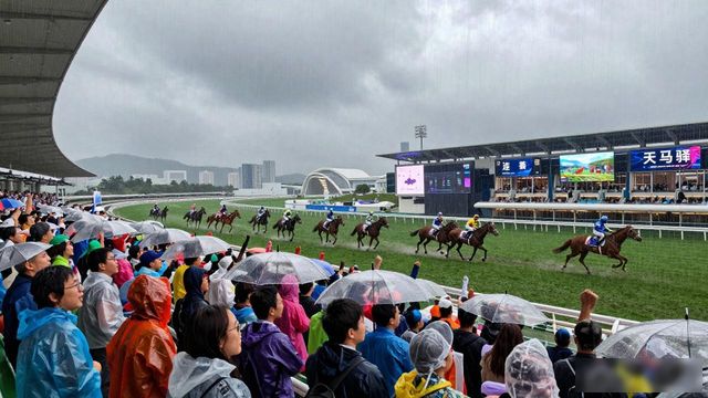 赛马资讯香港赛马会