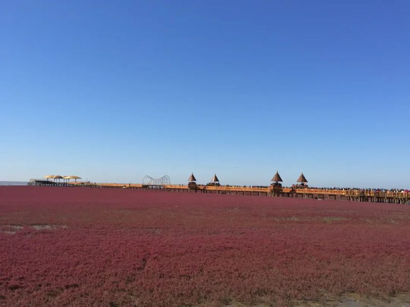 辽宁盘锦盘山新闻视频