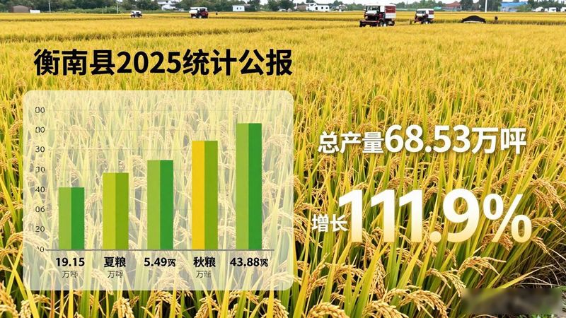 衡南县新闻.7.6
