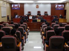 最高刑期15年！惠东法院集中公开宣判两起毒品犯罪案件