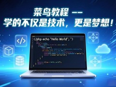 菜鸟教程 -- 学的不仅是技术,更是梦想!
