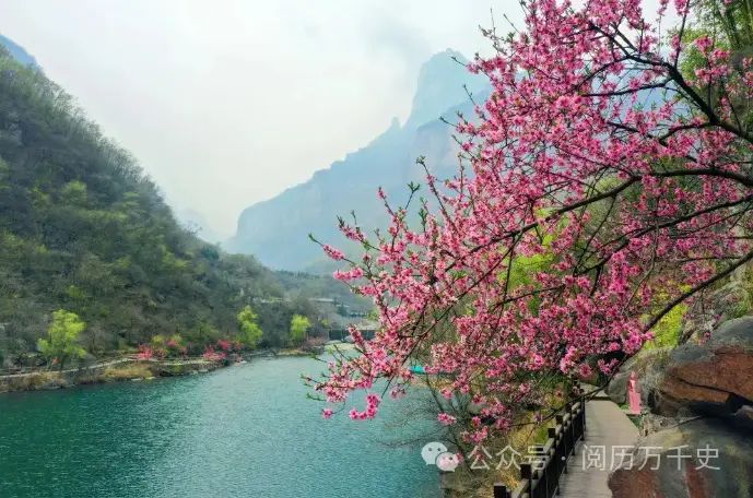 新乡电视台新闻综合
