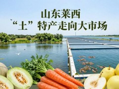 山东莱西 “土”特产走向大市场