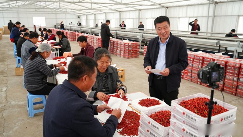 甘肃瓜州新闻