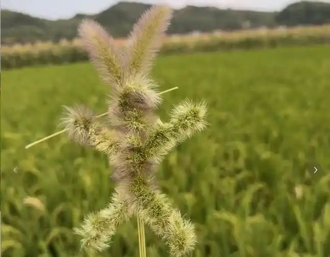 2026年社会热点话题