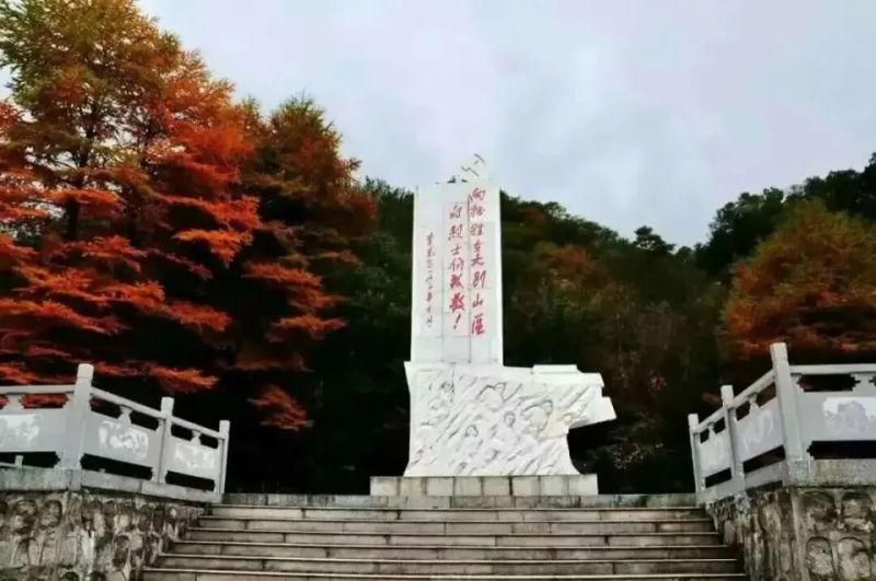 岳西在线新闻瑞成商都