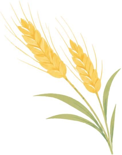 三夏帮扶新闻标题