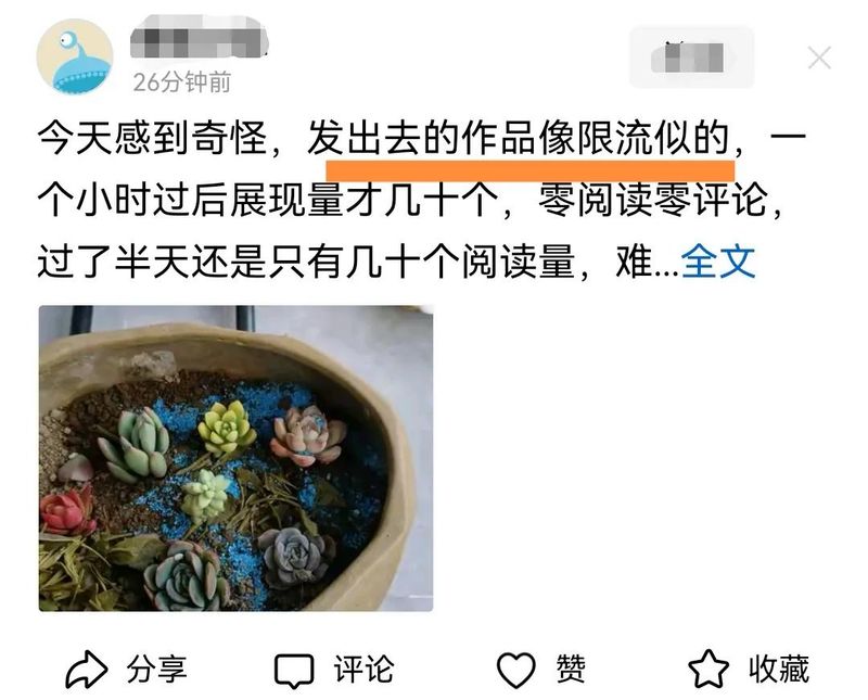 微头条文章网