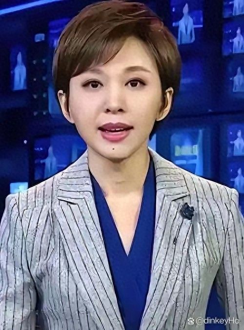 欧阳夏丹新闻联播
