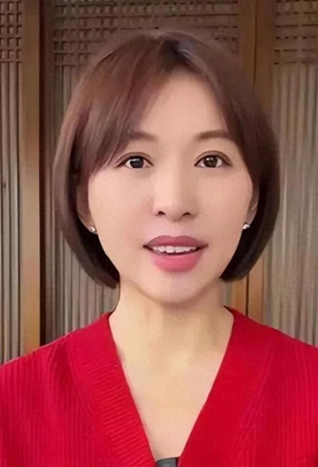 欧阳夏丹新闻联播